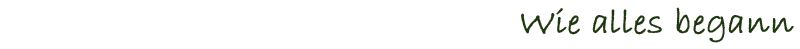 Wie alles begann
